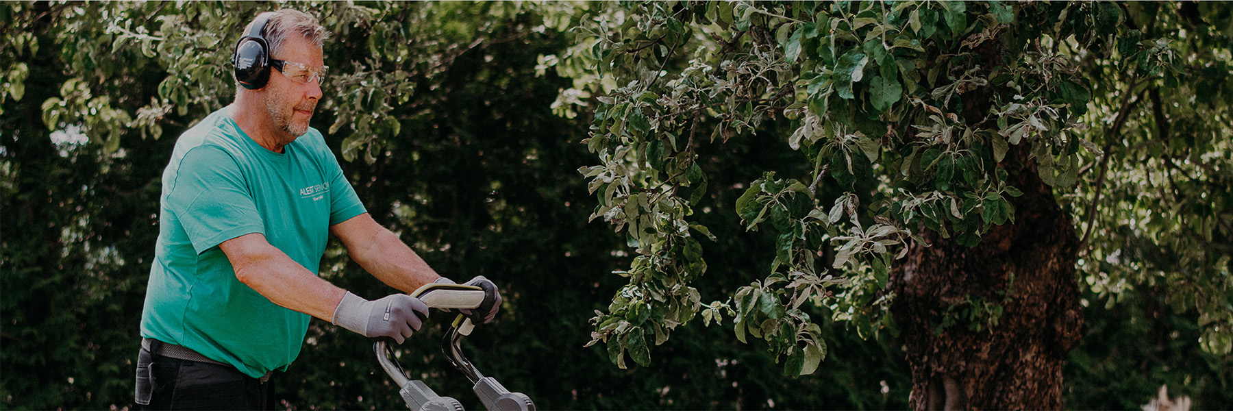 Hero Background Image