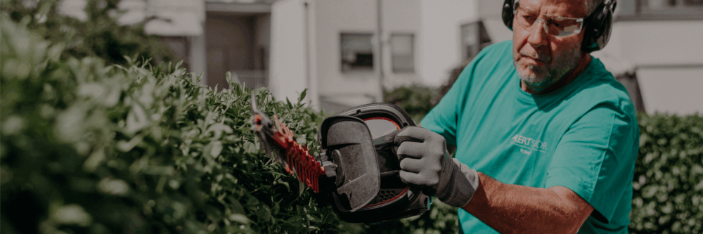 Hero Background Image