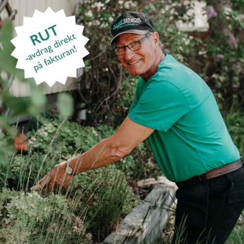 Dags att se över sin trädgård. Våra erfarna seniorer kan hjälpa dig att göra din trädgård vårfin. Vi klipper gräs, rensar ogräs, beskär buskar och tar bort gamla växter.