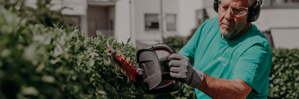 Hero Background Image